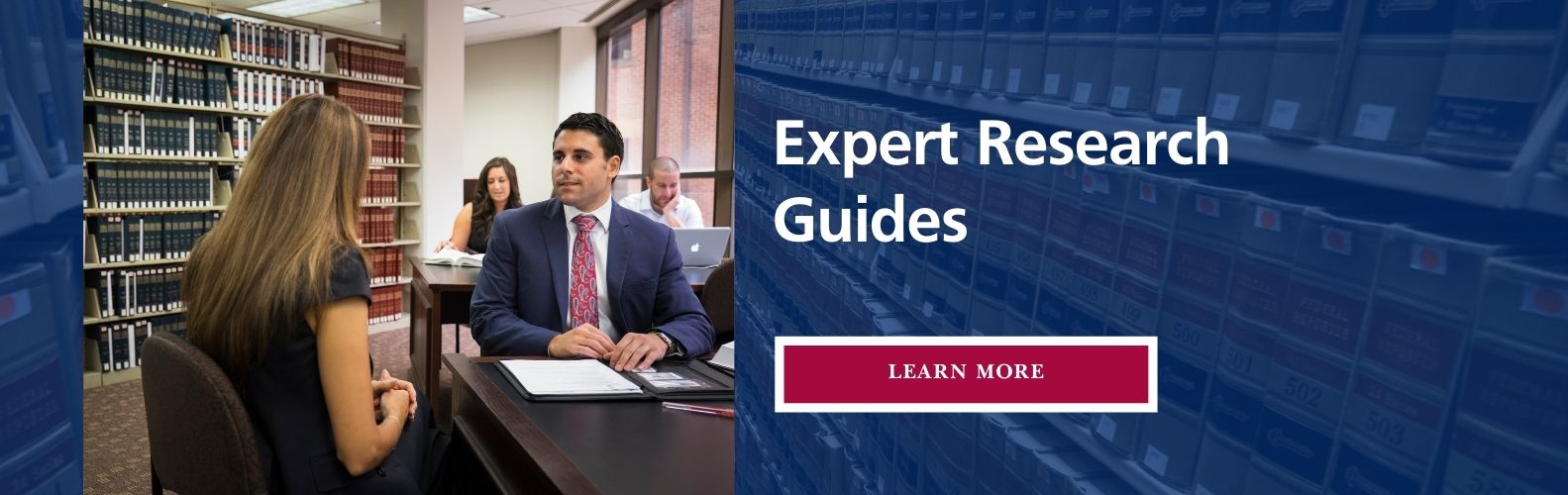 banner about expert research guides