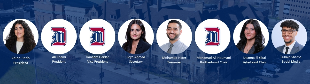 mlsa eboard